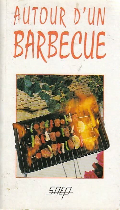 Autour d'un barbecue - Collectif