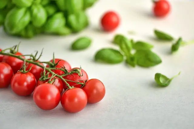 Recettes lowcarb à préparer pour une semaine saine