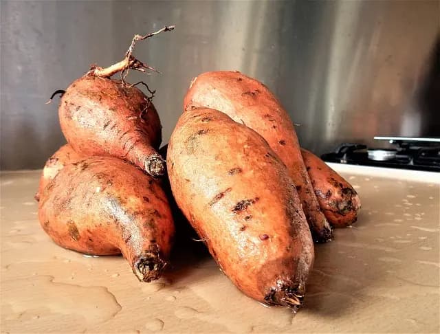 Comment préparer des plats lowcarb variés et savoureux