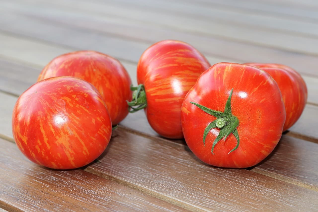 Repas lowcarb pour les journées chargées : 5 idées rapides